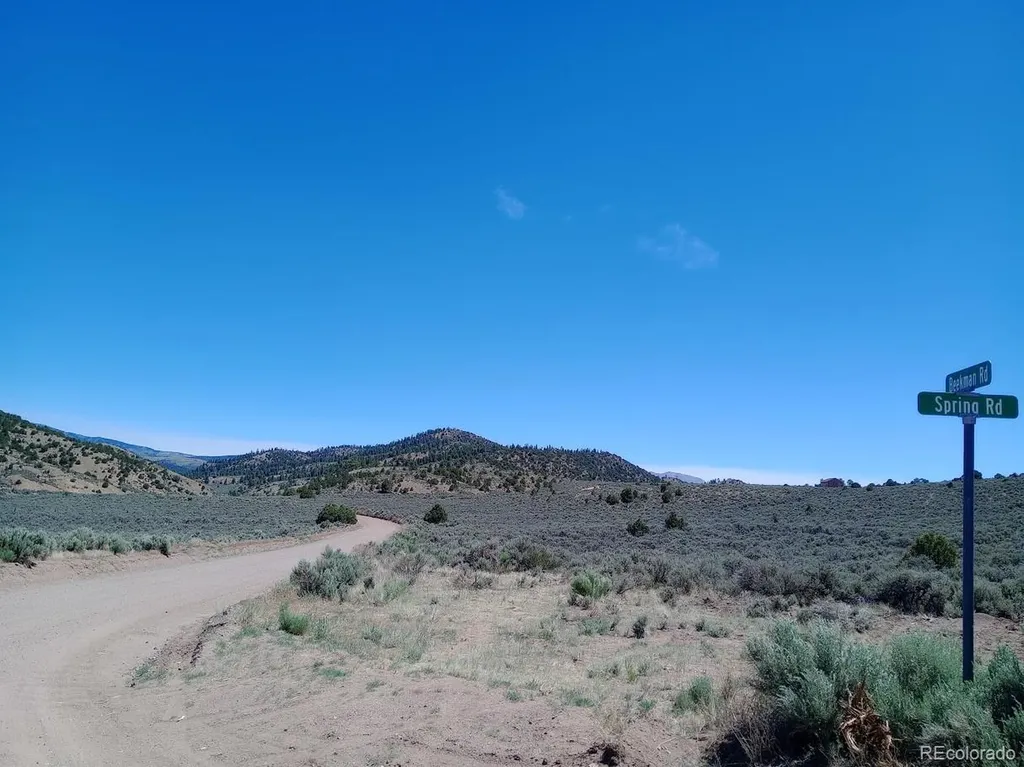 Lot 4786 Beekman Road Fort Garland CO 81133