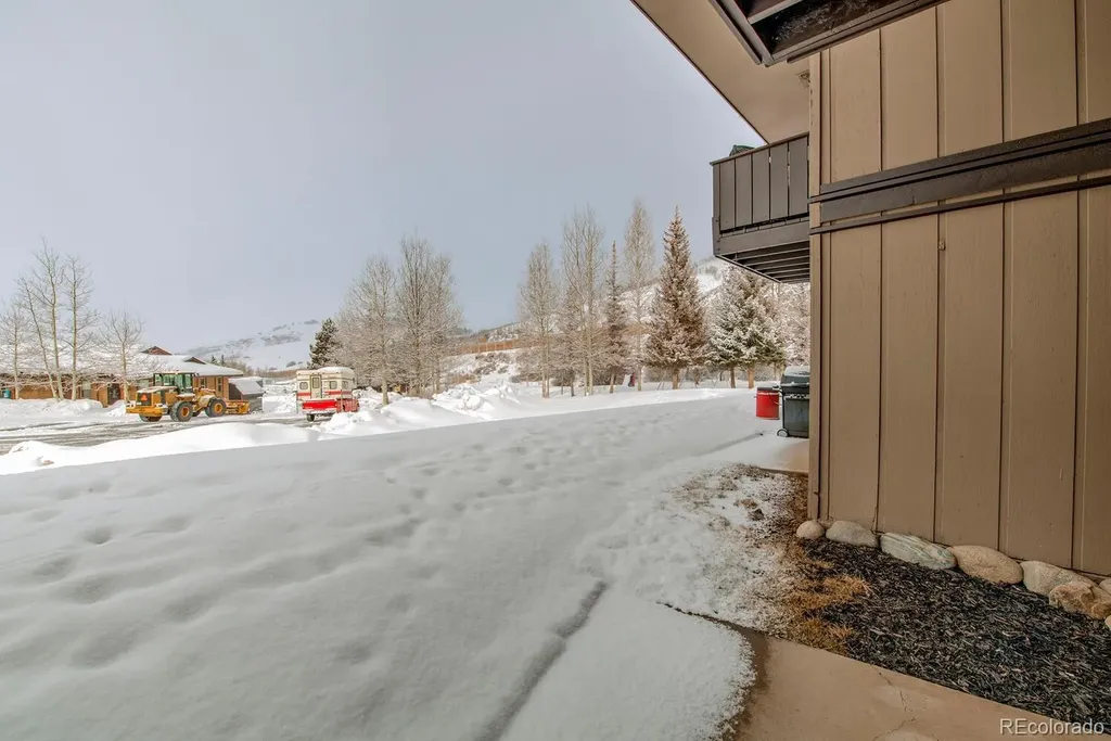 1133 Straight Creek Drive Dillon CO 80435