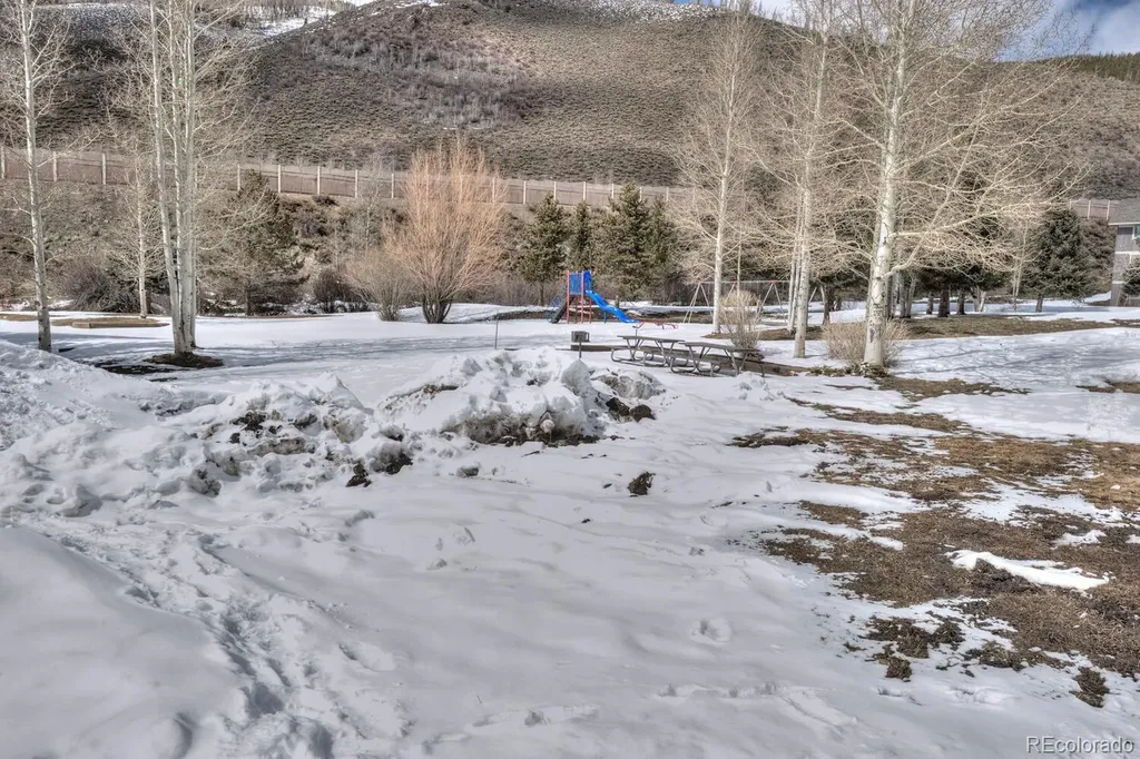 1133 Straight Creek Drive Dillon CO 80435