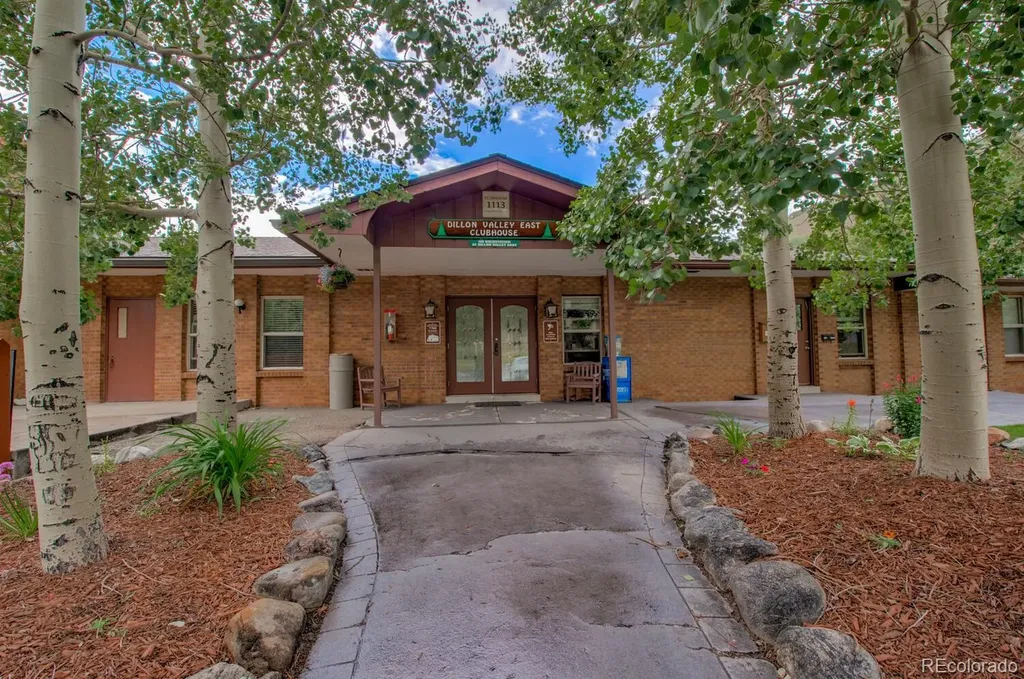 1133 Straight Creek Drive Dillon CO 80435