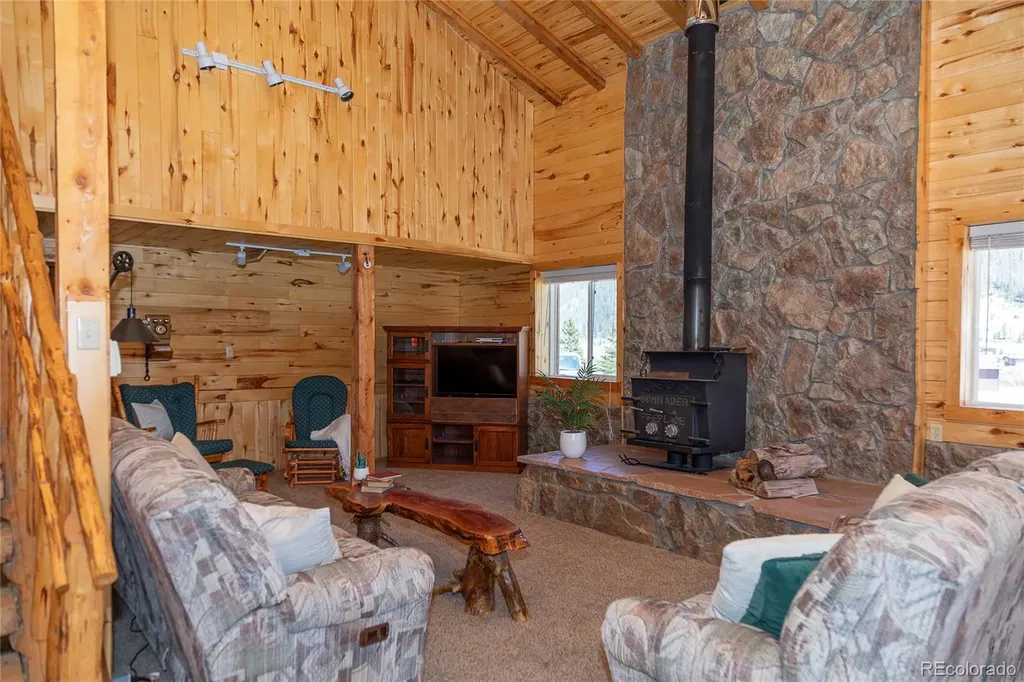 4100 Usfs Road 515 Creede CO 81130