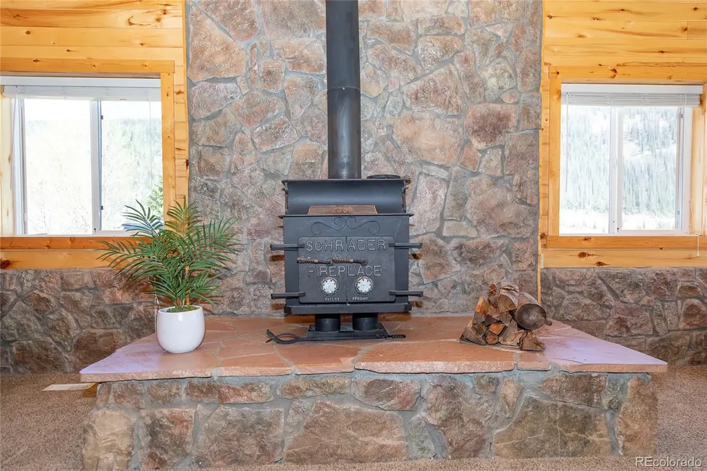 4100 Usfs Road 515 Creede CO 81130