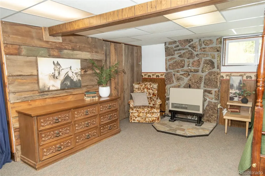 4100 Usfs Road 515 Creede CO 81130