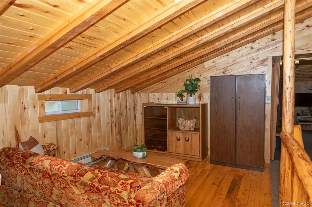 4100 Usfs Road 515 Creede CO 81130