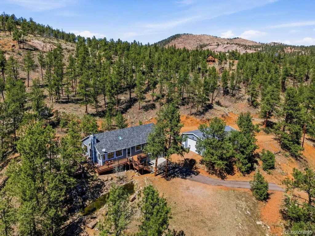 16687 Ouray Road W Pine CO 80470