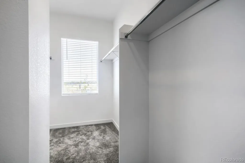 3005 Gladstone Avenue Loveland CO 80538