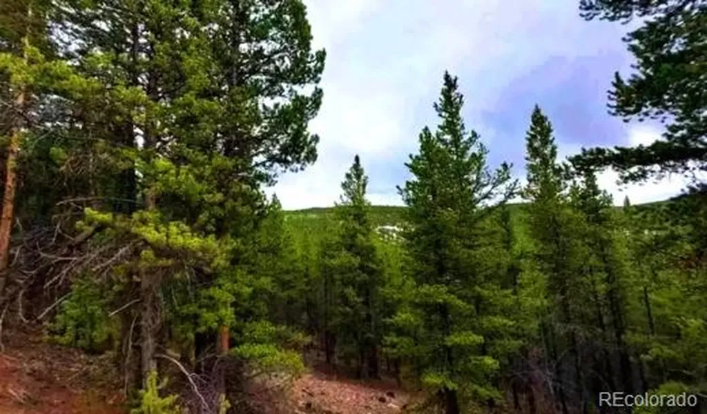 111 Fs Road 752.3b Gunnison CO 81231