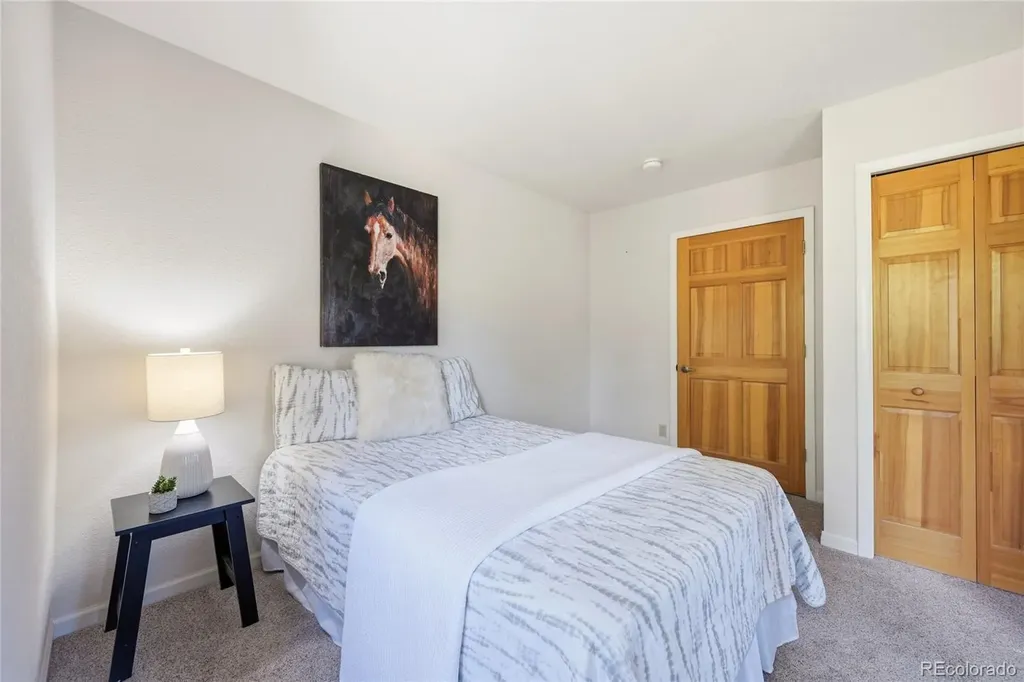 31719 Rocky Village Drive Evergreen CO 80439