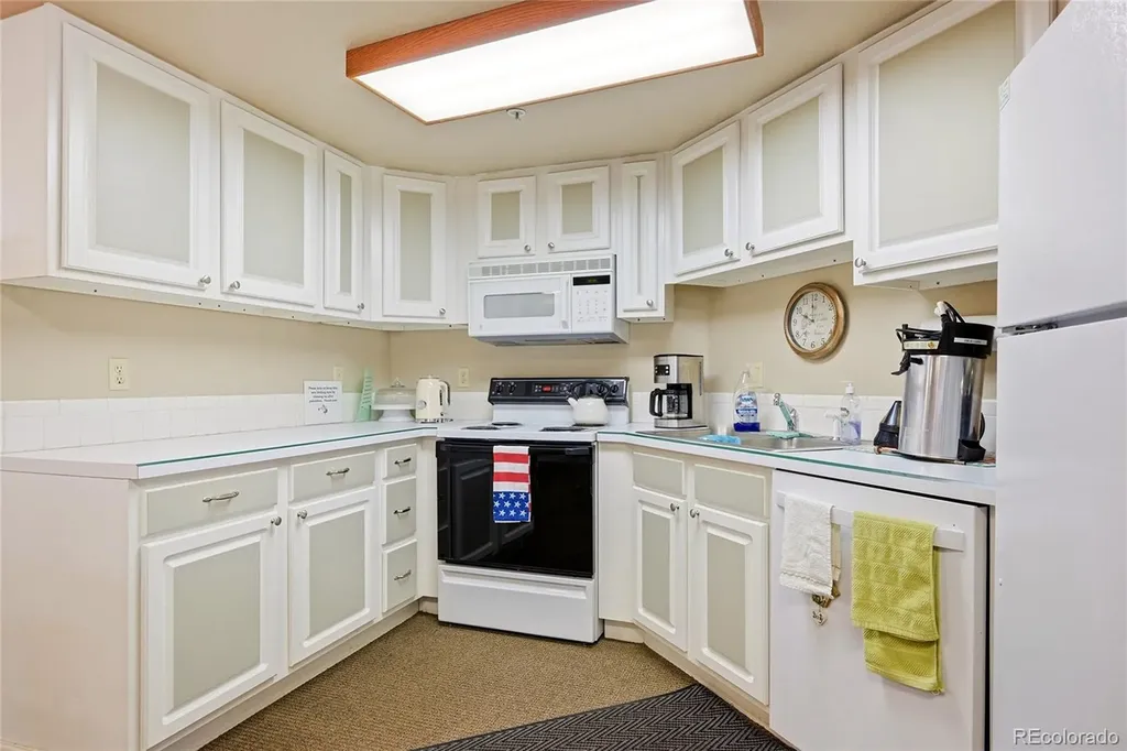 31719 Rocky Village Drive Evergreen CO 80439