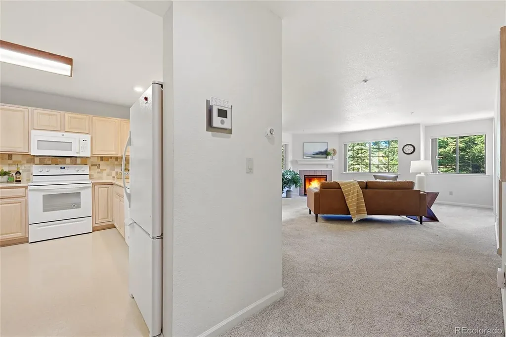 31719 Rocky Village Drive Evergreen CO 80439