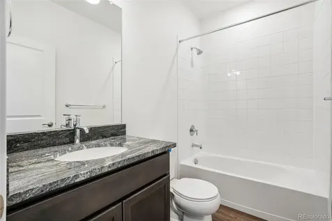 1466 Boyle Street Windsor CO 80550