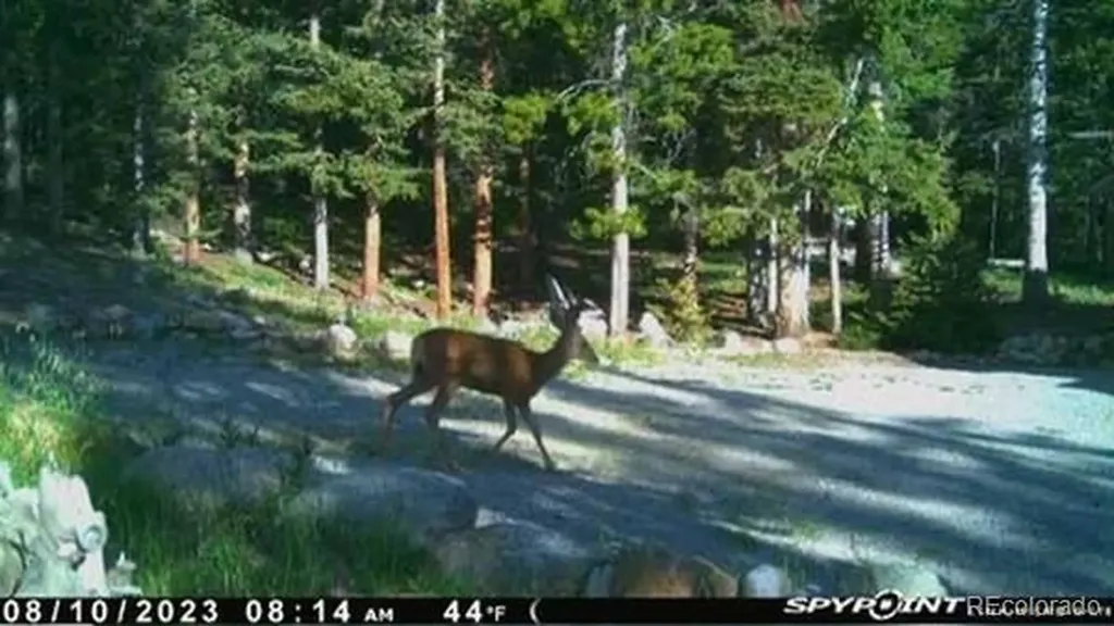 37 Mountain View Drive Fairplay CO 80440