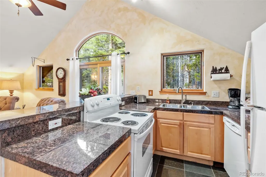 211 Tarnwood Drive Breckenridge CO 80424