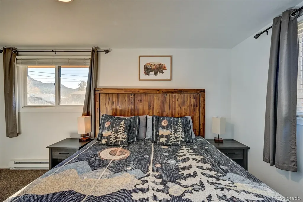 116 Dartmouth Drive Buena Vista CO 81211