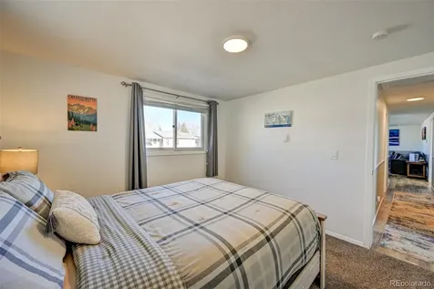 116 Dartmouth Drive Buena Vista CO 81211