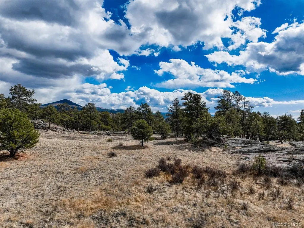 54 Ute Circle Florissant CO 80816