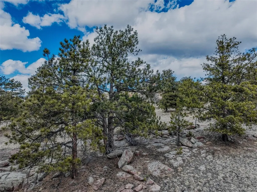 54 Ute Circle Florissant CO 80816