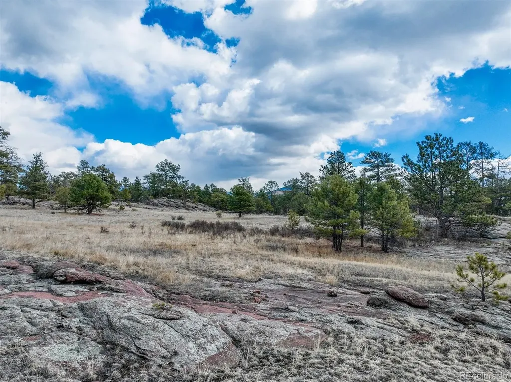 54 Ute Circle Florissant CO 80816