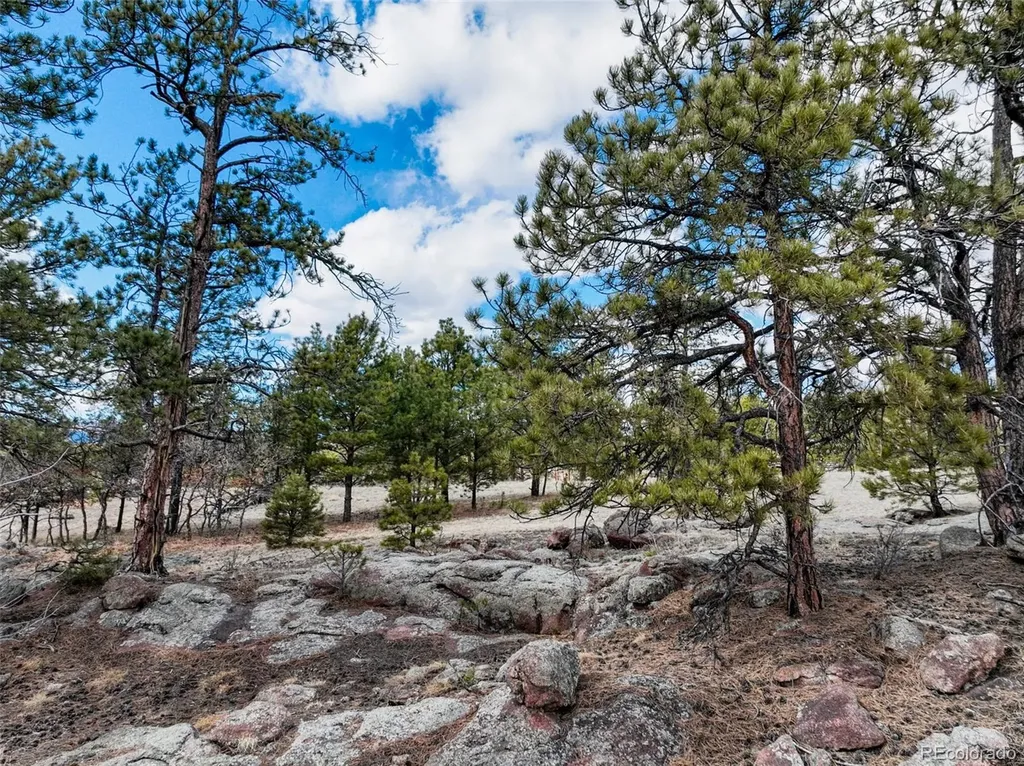 54 Ute Circle Florissant CO 80816