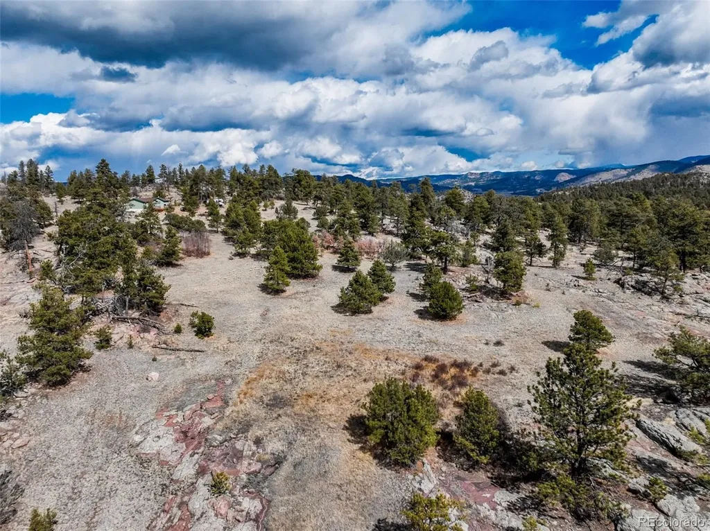 54 Ute Circle Florissant CO 80816