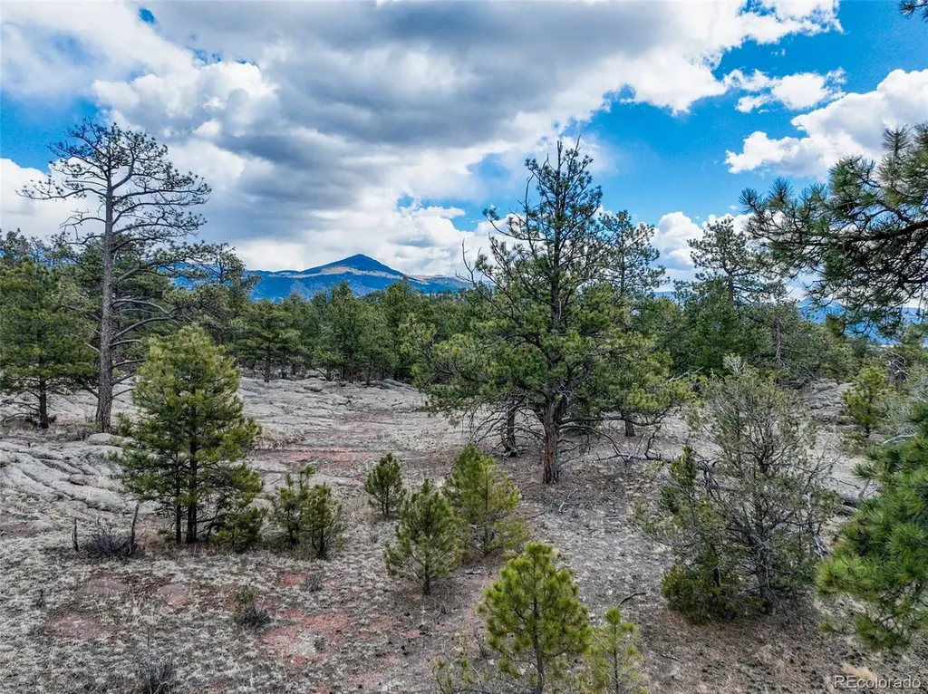 54 Ute Circle Florissant CO 80816