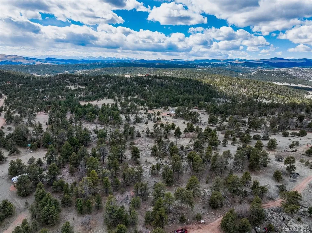 54 Ute Circle Florissant CO 80816