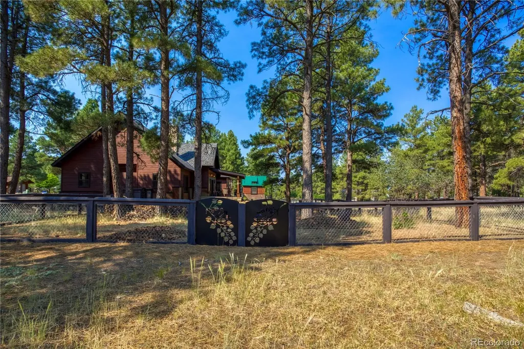 125 Teakwood Drive Pagosa Springs CO 81147