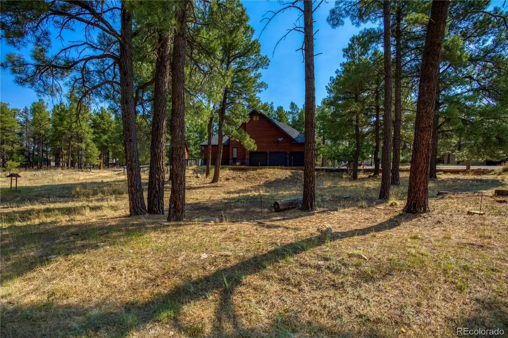 125 Teakwood Drive Pagosa Springs CO 81147