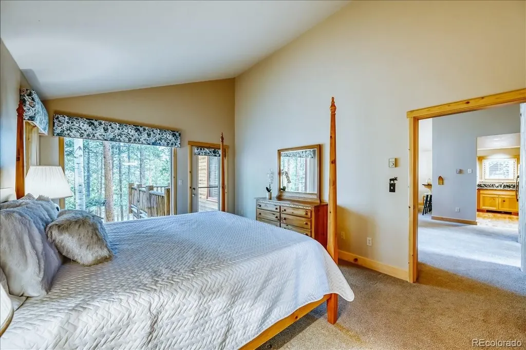 99 Primrose Lane Keystone CO 80435