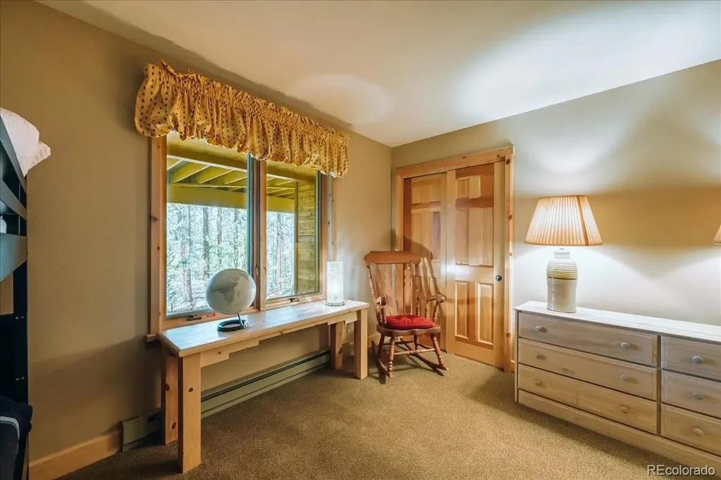 99 Primrose Lane Keystone CO 80435