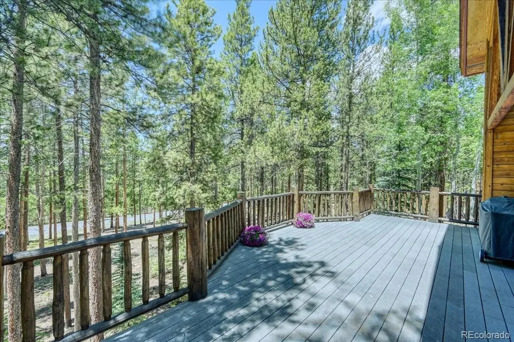99 Primrose Lane Keystone CO 80435