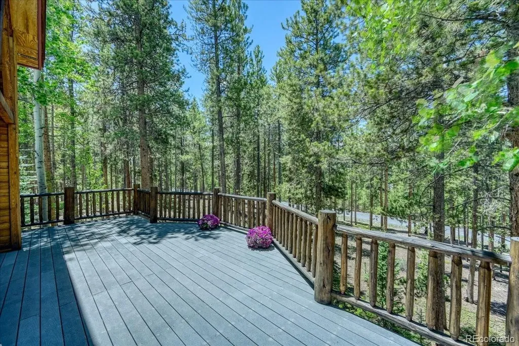 99 Primrose Lane Keystone CO 80435