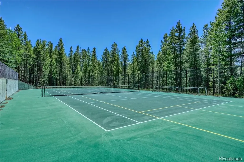99 Primrose Lane Keystone CO 80435
