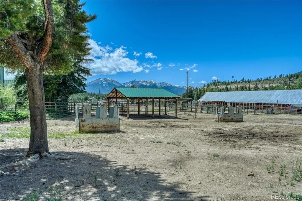 99 Primrose Lane Keystone CO 80435