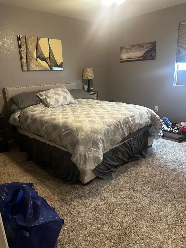 10562 Racine Circle Commerce City CO 80022