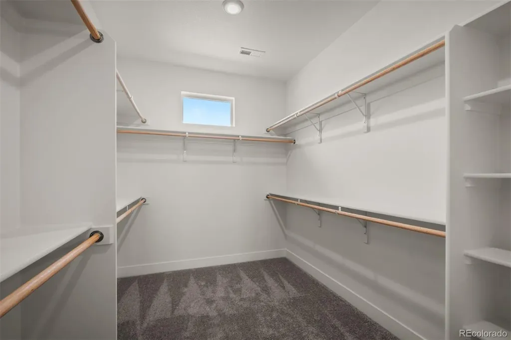 1109 White Clover Drive Monument CO 80132