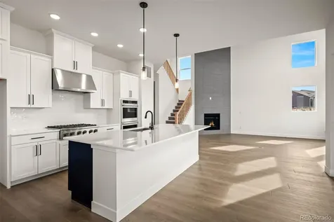1109 White Clover Drive Monument CO 80132
