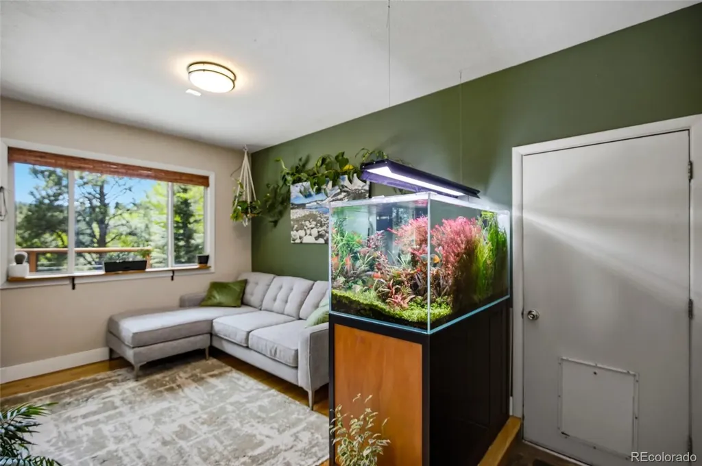 31280 Florence Road Conifer CO 80433