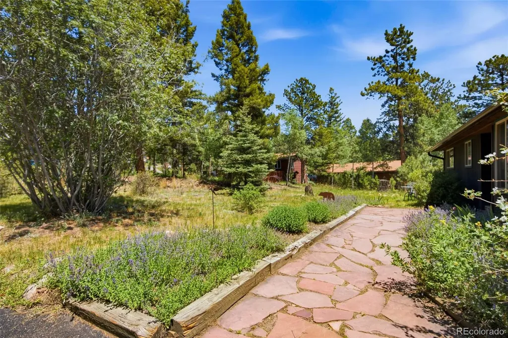 31280 Florence Road Conifer CO 80433