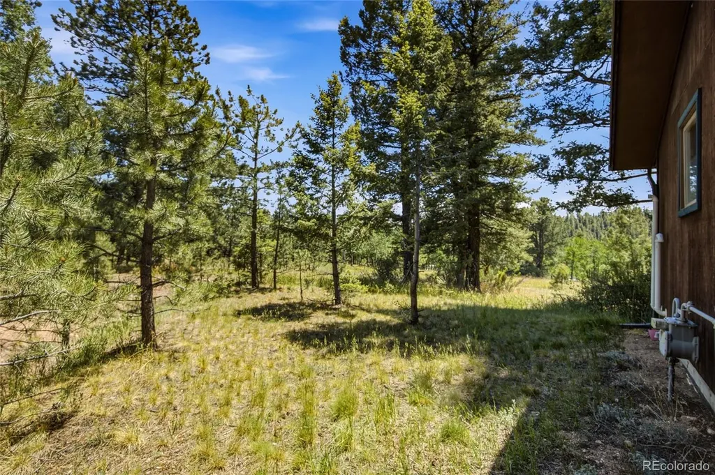 31280 Florence Road Conifer CO 80433