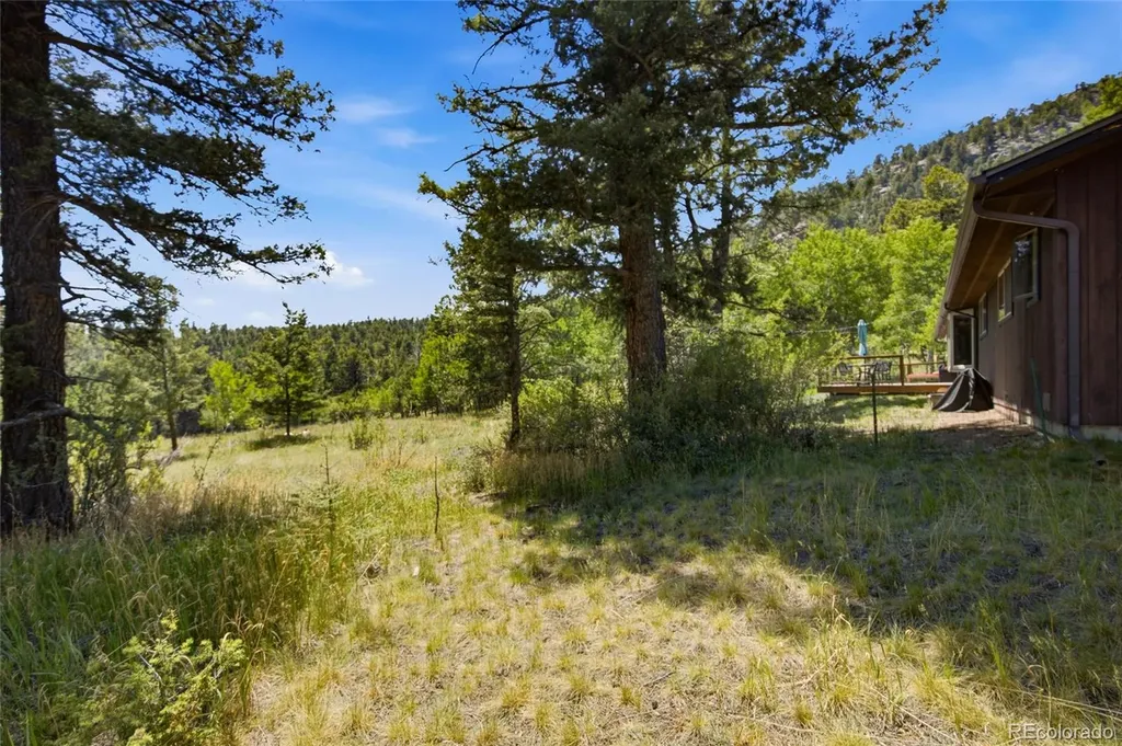 31280 Florence Road Conifer CO 80433