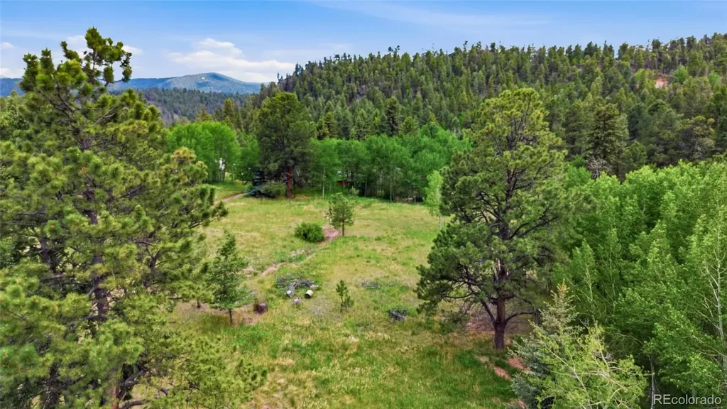 31280 Florence Road Conifer CO 80433