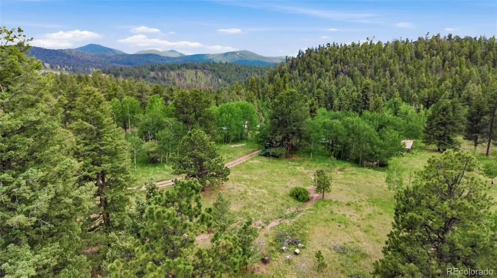 31280 Florence Road Conifer CO 80433