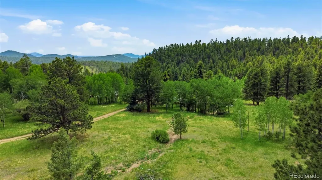 31280 Florence Road Conifer CO 80433