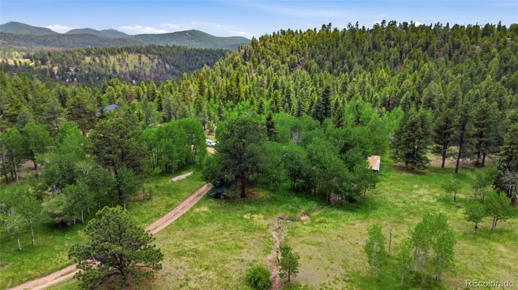 31280 Florence Road Conifer CO 80433