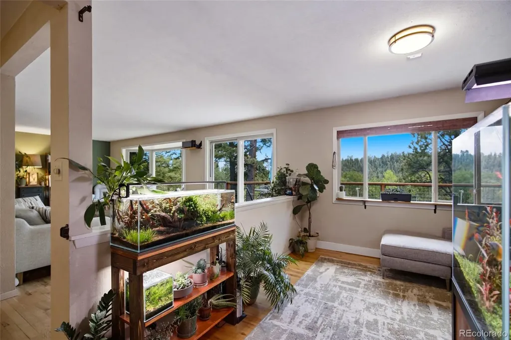 31280 Florence Road Conifer CO 80433