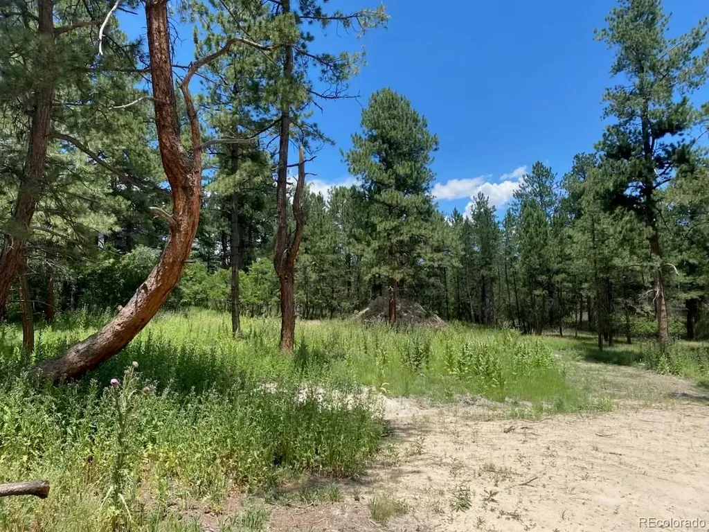 1025 Tenderfoot Drive Larkspur CO 80118