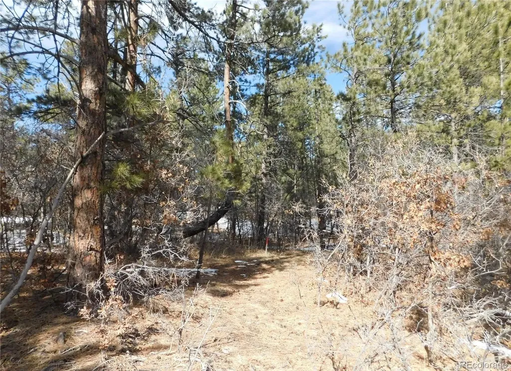 1025 Tenderfoot Drive Larkspur CO 80118