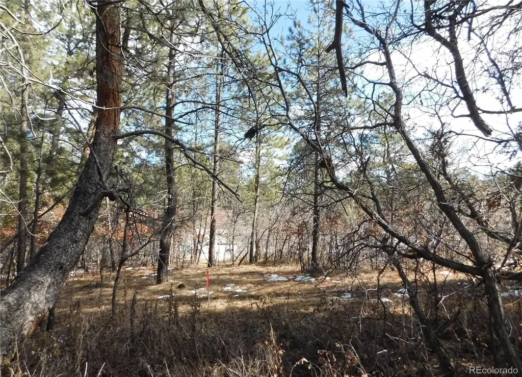 1025 Tenderfoot Drive Larkspur CO 80118