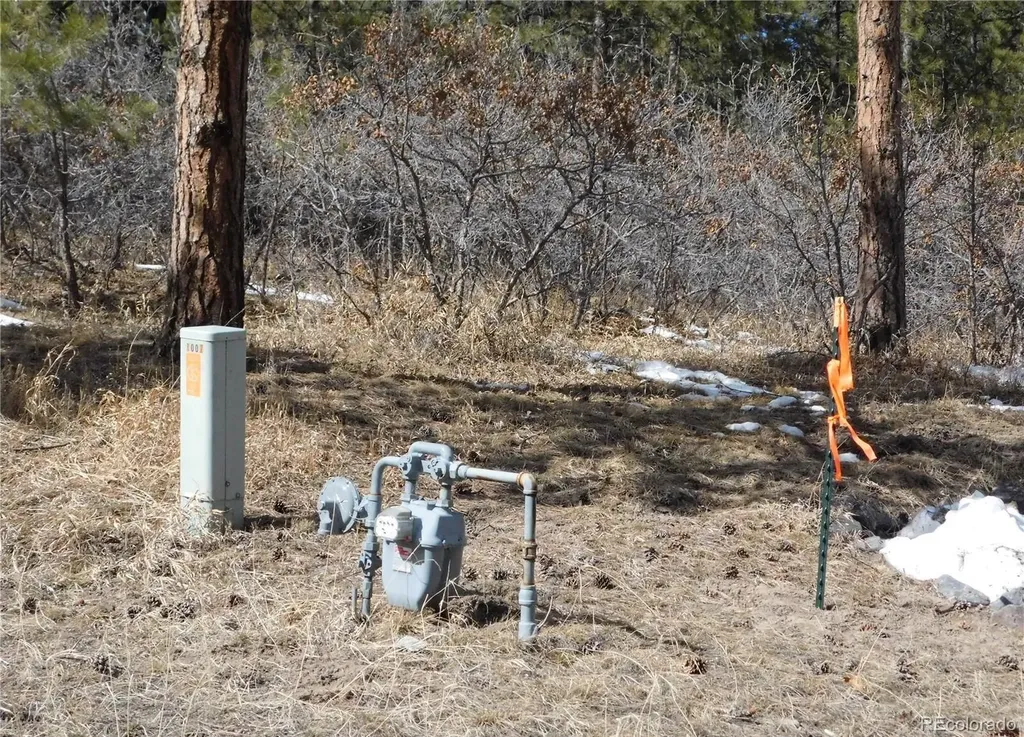 1025 Tenderfoot Drive Larkspur CO 80118